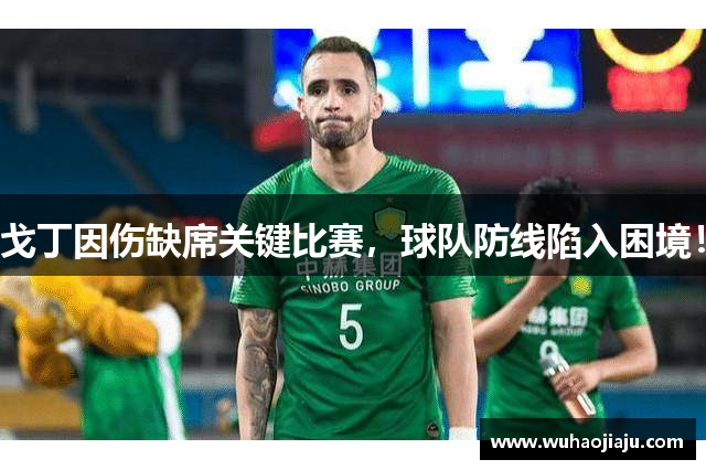 戈丁因伤缺席关键比赛，球队防线陷入困境！