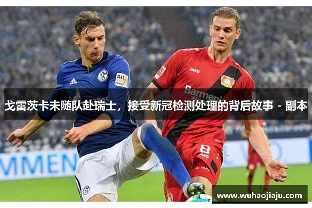 戈雷茨卡未随队赴瑞士，接受新冠检测处理的背后故事 - 副本