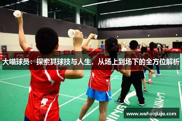 大喵球员：探索其球技与人生，从场上到场下的全方位解析