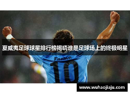 夏威夷足球球星排行榜揭晓谁是足球场上的终极明星