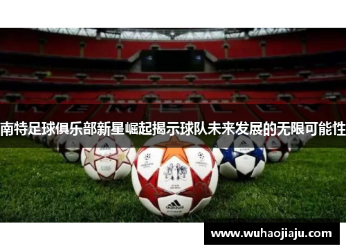 南特足球俱乐部新星崛起揭示球队未来发展的无限可能性