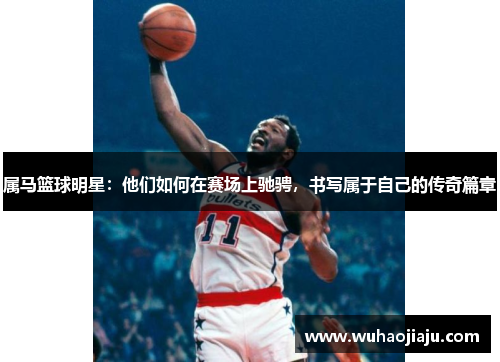 属马篮球明星：他们如何在赛场上驰骋，书写属于自己的传奇篇章