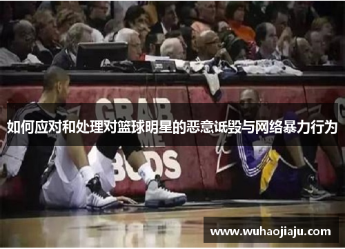 如何应对和处理对篮球明星的恶意诋毁与网络暴力行为