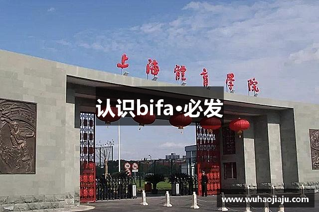认识bifa·必发